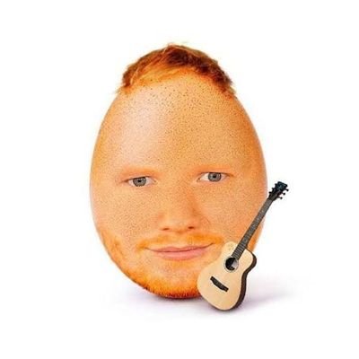 eggisfoolish1 Profile Picture