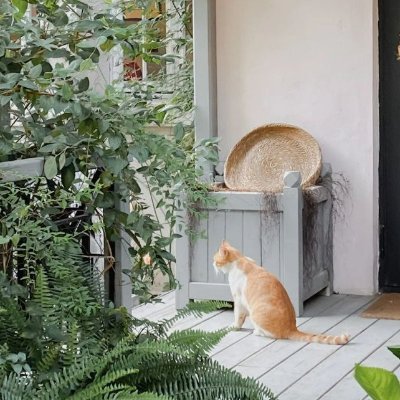 berrieslesssss's profile picture. I won't give up on my dream just because there's no applause