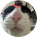 미토 :3 (@m1t0ov) Twitter profile photo 미토 :3 (@m1t0ov) Twitter profile photo