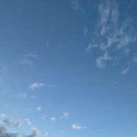dk@裏垢青森 (@ssvd0whtsn37675) Twitter profile photo