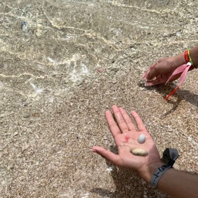 nohaalha's profile picture. السلام ، الحُب ، التعايش                       Peace , love , coexistence