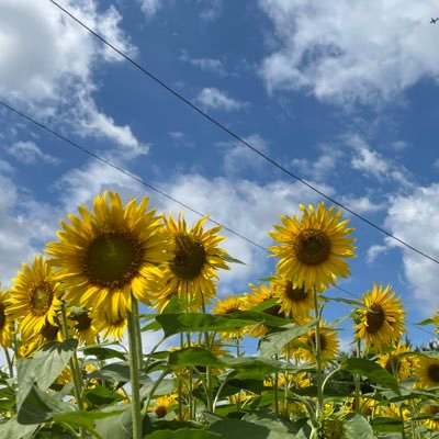 トラブルは嫌いです