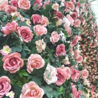 取引 (@__trhk___l) 's Twitter Profile