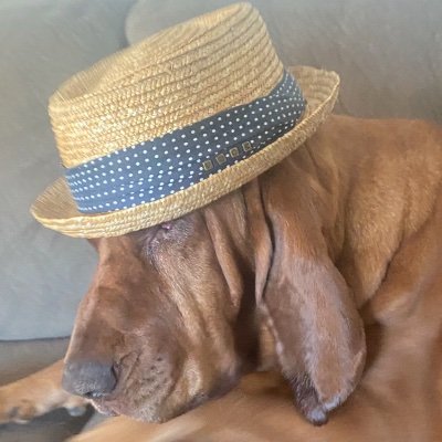 YodaddyX66's profile picture. 🇺🇸Proud Husband, Father and https://t.co/l6eqNpZhe5 DM’s