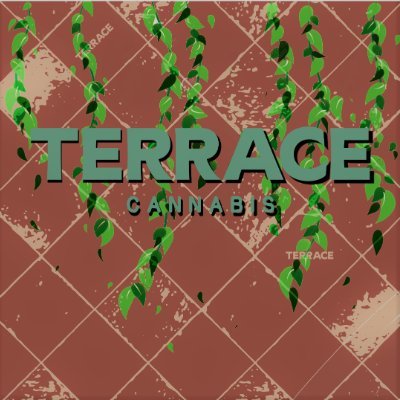 At Terrace, we are committed to promoting responsible cannabis consumption and enhancing the wellbeing of our community.