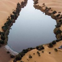 اسمي محمد علي (@smymmdly458918) Twitter profile photo