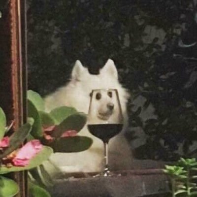 pkpさんのプロフィール画像