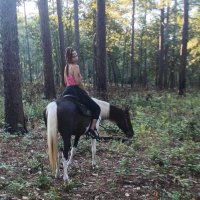 Div3rs3_Introspektive (@div3rs3_intros) 's Twitter Profile