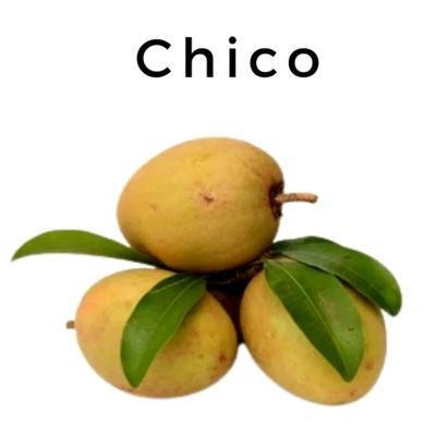 chicochico1234 Profile Picture