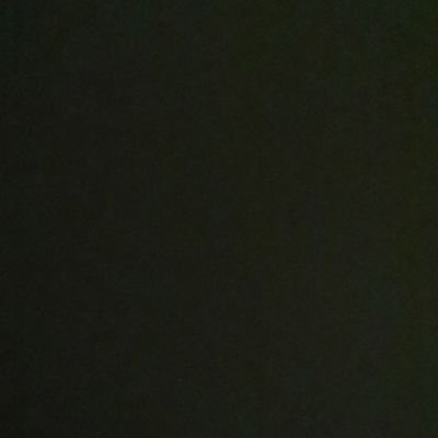 WorldWildFestさんのプロフィール画像