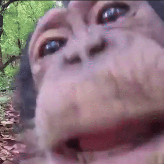 cmdrBopler's profile picture. UI / UX designer