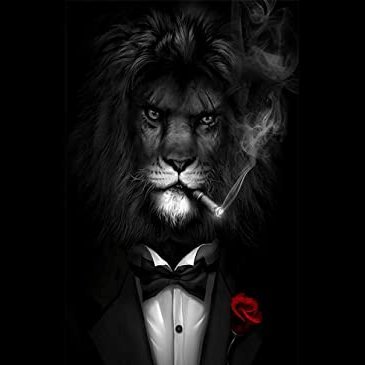 Mars_2807's profile picture. 🇳🇱🚹♌🏋️‍♂️🏁🍺🚬🥾🚲⚜ ‍🐈‍⬛

Weet veel, maar nog veel meer niet.
F1-fan sinds 1992.
Dwars sinds 1977.