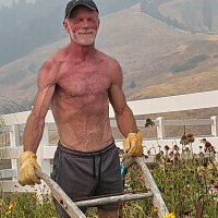 Daddy Plow (@michaeljonson69) 's Twitter Profile