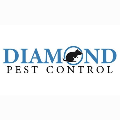 Your trusted solution for pest problems and fumigation services in Uganda. 🦟🐁 Safe, effective, and reliable pest management and fumigation.