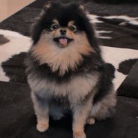 mia, RPh (@miarchaea) 's Twitter Profile Photo mia, RPh (@miarchaea) 's Twitter Profile Photo