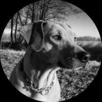 Stuart (@oneday6229) 's Twitter Profile Photo