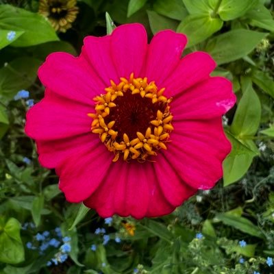 CrispinMarie's profile picture. 