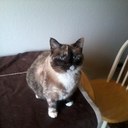 Paul Winner - @paul_winner - Twitter