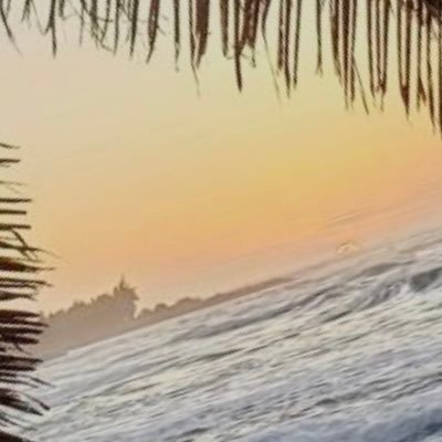 metromelirod's profile picture. 🏝️ 🌞 🌊