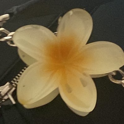 tontilomccollum's profile picture. SÜ/hukuk⚖️