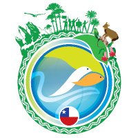 GYBN Chile (@gybnchile) 's Twitter Profile