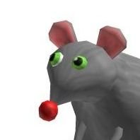 the_coooool_rat Profile Picture