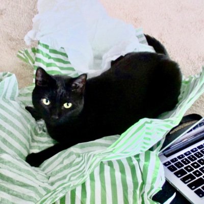 KatelyMiss's profile picture. X is the best source for news and commentary.