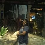 SdqORAYA's profile picture. 