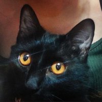 Yesenia Torrecillas (@yesytorrecillaz) 's Twitter Profile