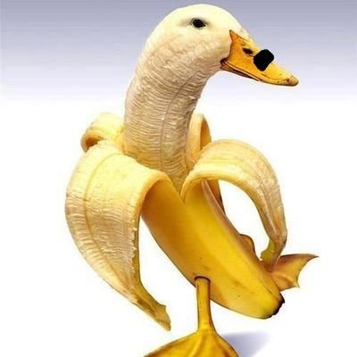 BananAdolf H. Duck