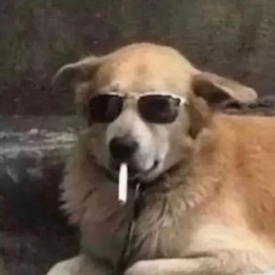 punk_racecars's profile picture. 