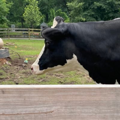 artistangiebee's profile picture. 