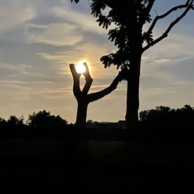 1776Potomac's profile picture. 