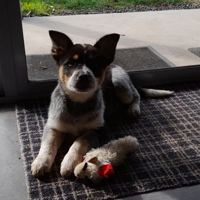 TraceyMannix's profile picture. 