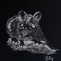 ConjuringFestival (@conjuringfest) 's Twitter Profile Photo ConjuringFestival (@conjuringfest) 's Twitter Profile Photo