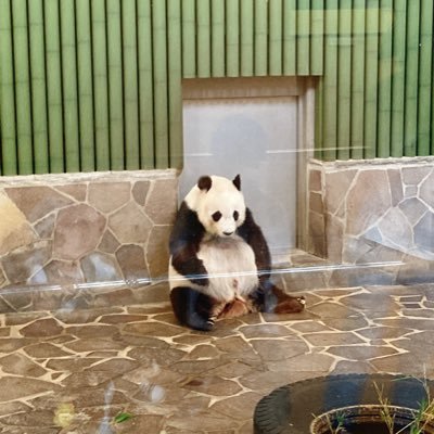 hacohacomeon's profile picture. 子育て垢　時々義父母