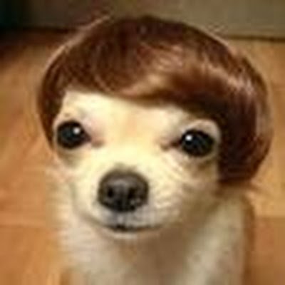 07sasa_07's profile picture. 