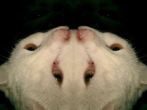 matsonite's profile picture. 