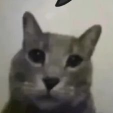 im not even on here, if I accidentally follow you ignore it