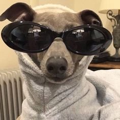DANOR05's profile picture. 