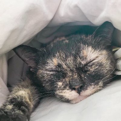 yo_1023_tokyo's profile picture. 趣味垢