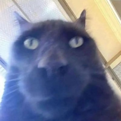 Aukototo's profile picture. idk