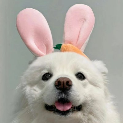 BearroneyBr's profile picture. 