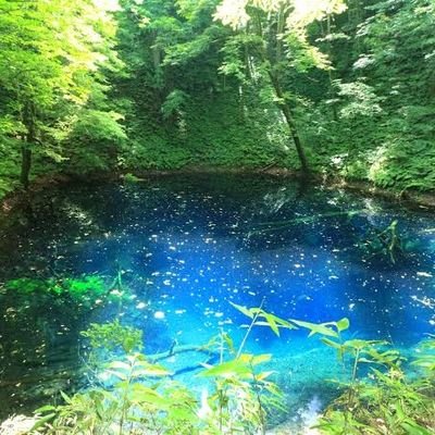 VuJf0kY5hG66074's profile picture. 柏市在住の30代、幼児を育てるパパ。
大手不動産会社の経営戦略→AIテック企業で事業開発
副業で中小企業の経営アドバイザーをしてます。
柏市を中心に身の回りのことについてつぶやきます。