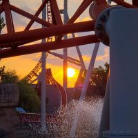 Kim Brooks (@wwoman08) 's Twitter Profile Photo