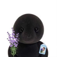 Mary Vegue (@mary_vegue) 's Twitter Profile Photo