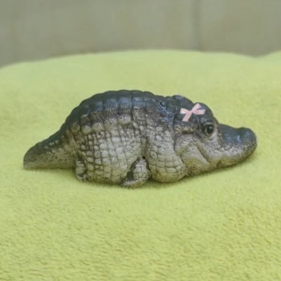 urpulabalart's profile picture. 