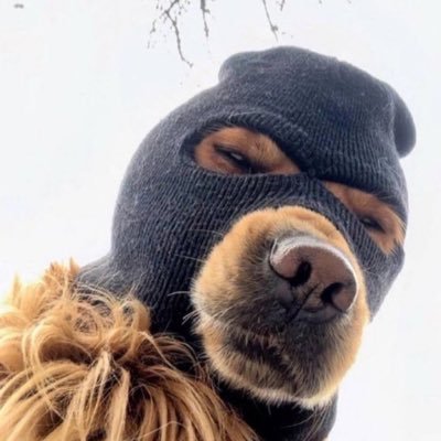 SpeedyOCE_'s profile picture. Sydney, Australia 🇦🇺