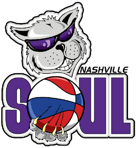 NashSoulBBTeam's profile picture. The ABA Nashville Soul Basketball Team