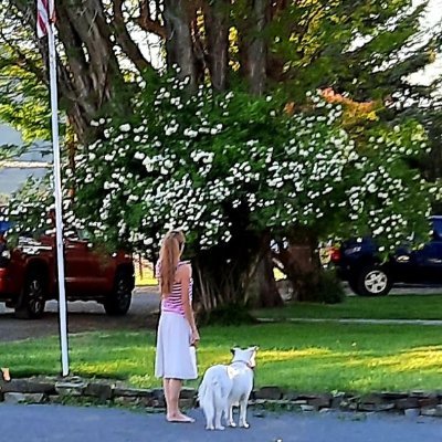 OregonLady_541's profile picture. Peace seeking American Patriot , God fearing , Jesus Loving ,Spirit Filled, friend to all humble souls. Mother, Sister, Daughter. 2Chronicles 7:14